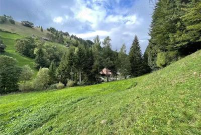 Teren de 4600 mp, în Șimon - 2