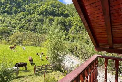 Casă cu 4 camere cu Teren 1500 Mp în Dobra - 1