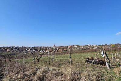Teren de 850 mp, în Calea Aradului - 3