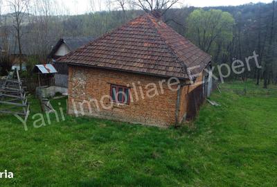 Casă cu 2 camere cu Teren 5800 Mp în Valea Danului - 8
