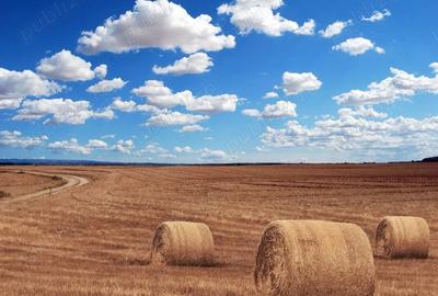 Vand teren arabil 40 ha Teleorman - 1