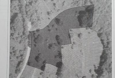 Teren Construcții intravilan de 6459 mp, în Luncoiu de Jos - 3