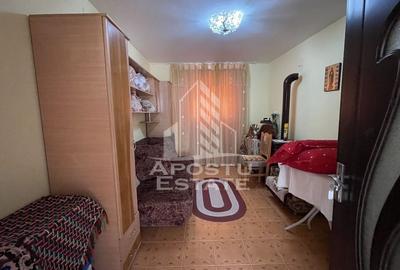 Casa renovata Berecuta comuna Birda asfalt - 4