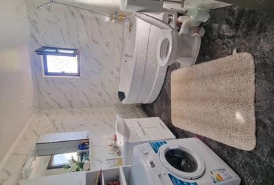 Vand casa Branistea Vand casa Branistea - 9