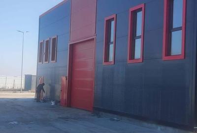 Spațiu comercial, de 538 mp, în Frumușani - 9