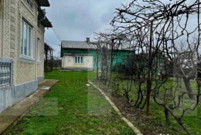 Casă cu 3 camere cu Teren 5810 Mp în Central - 2