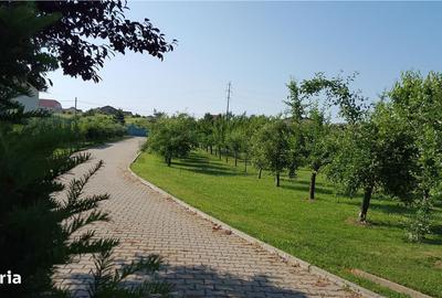 Casă cu 4 camere în Sânmartin - 2