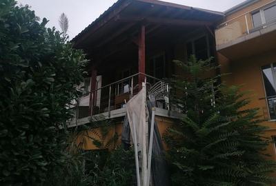 Pensiune Azil Spatiu Comercial Calea Girocului - 5