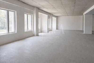 Spațiu comercial, de 550 mp, în Plopilor - 5