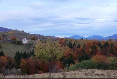 2000 mp, teren intravilan Pestera, Brasov, comision 0% - 10