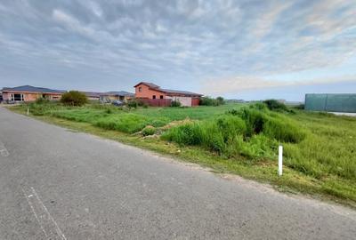 Teren Construcții intravilan de 5881 mp, în Dumbrăveni - 3