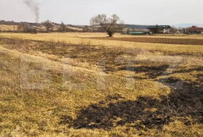 Teren de 4000 mp, în Central - 5