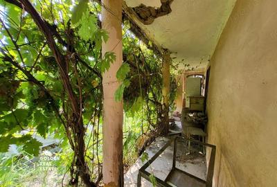 Casa cu teren de 1807 mp, Oras Lipova - 8