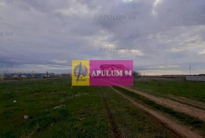 Teren de 1055 mp, în Berceni