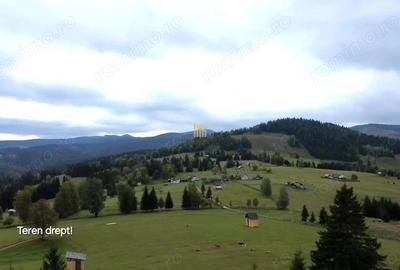 Teren 2804 mp, la munte! In Bucovina Fundu Moldovei! - 3