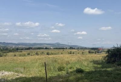 Teren intravilan 500 mp - Tohanul Nou - 5