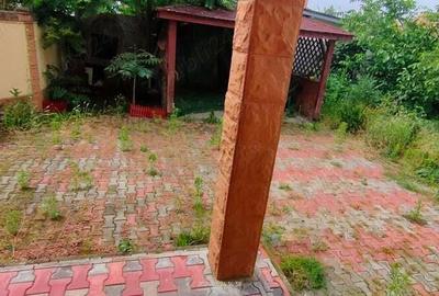 Duplex mare Mehala de vanzare - 2