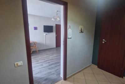 Apartament cu 2 camere semidecomandat, mobilat în Drumul Taberei - 14