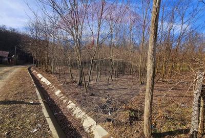 Teren de 2714 mp, în Căzănești - 1