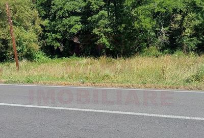 TEREN INTRAVILAN ÎN MARGA-LA DN68 JUD.CARAȘ-SEVERIN - 2