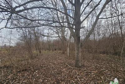 Teren de 2800 mp, în Domnești