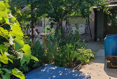 Casă cu 4 camere cu Teren 10000 Mp în Bârca - 9