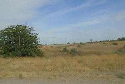 Teren extravilan arabil cota parte 3/32 Smardan, ID: R2763211 - 8