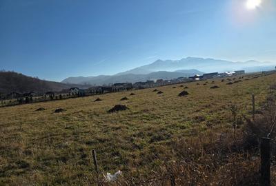 Teren de vânzare Râșnov – priveliște superbă, vedere la Cetate, acces DN - 4