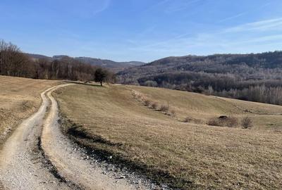 Spațiu comercial, în Tomnatic - 2