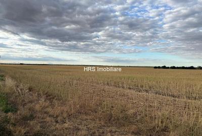 Teren intravilan Branesti - 3