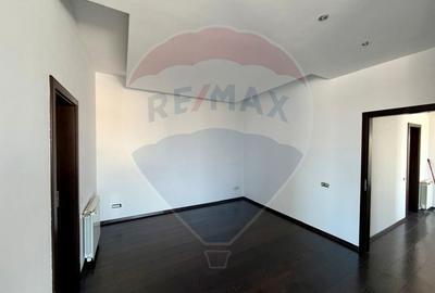 Apartament/Duplex de inchiriat Primaverii - 3