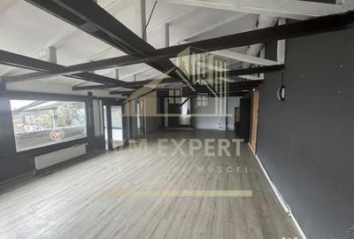 Spațiu comercial, de 212 mp, în Câmpulung Muscel - 3