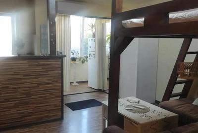 Garsonieră semidecomandată în Dacia - 1