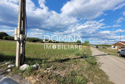 Teren Construcții intravilan de 2593 mp, în Exterior Vest - 3