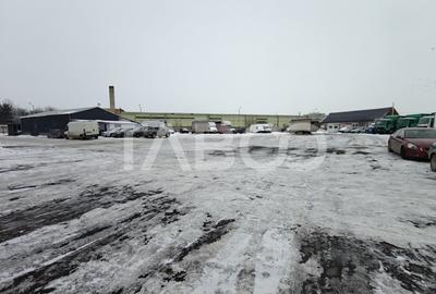 Spațiu industrial, de 800 mp, în Turnișor - 4