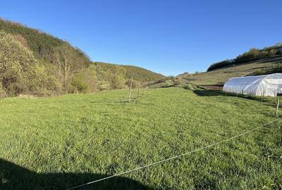 Spațiu comercial, în Sava - 1