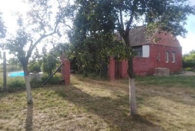 Casă cu 3 camere în Periam - 1