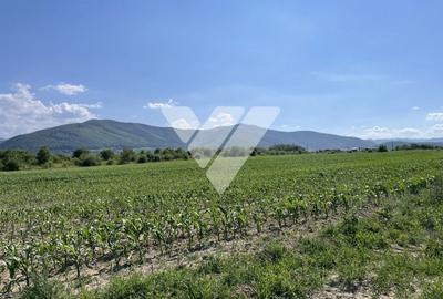 Teren agricol extravilan de 1300 mp, în Poplaca