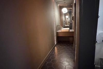 Zona Balcescu Maria Rosetti sp 310 mp P+E1+Terasa - 11