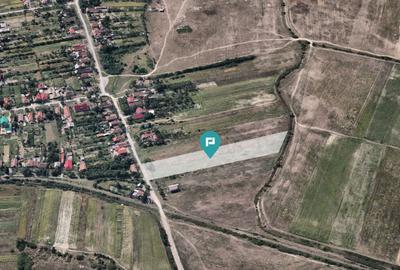 Teren Extravilan –Oportunitate Unică de Investiții - 6
