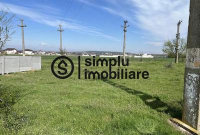 Teren Intravilan Simnicul de sus - 2