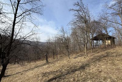 Teren Construcții intravilan de 2788 mp, în Central - 14