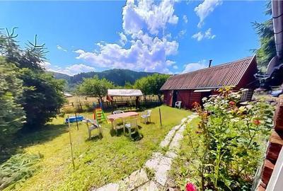 FILM Tur LIVE! Casa de vacanta, intr- o ariere admirabila,Lu - 2