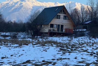 Spațiu comercial, în Bran - 5
