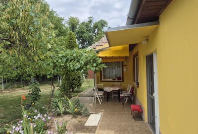Casa de vanzare - Crai Nou, jud Timis - SAU schimb cu apartament 2 camere in Tim - 5