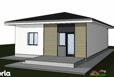 Casă cu 3 camere cu Teren 300 Mp în Ciurea - 8