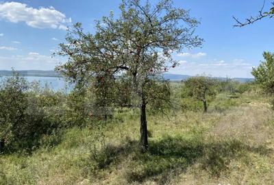 Teren de 3800 mp, în Recea - 5