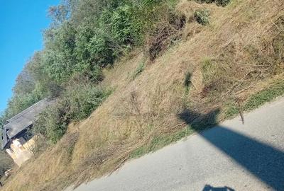 Casă cu 2 camere cu Teren 7000 Mp în Salatiu - 3