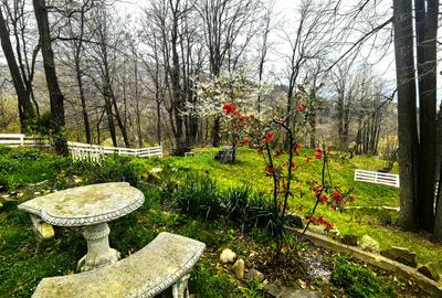 Proprietate Breaza de vis , zona de vis , prezentarea agentului , de vis Proprietate Breaza de vis , zona de vis , prezentarea agentului , de vis - 5