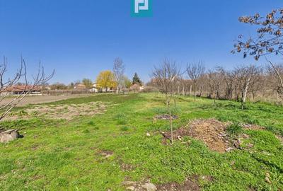 Casă cu 3 camere cu Teren 1581 Mp în Turnu - 7